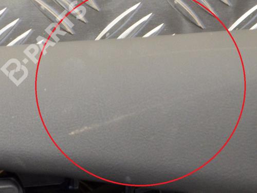 Front left panel TESLA MODEL X (5YJX) P100D AWD | BP8624950C58 