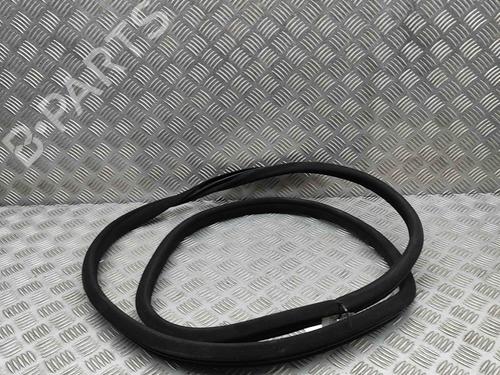 Rubber door seal MERCEDES-BENZ S-CLASS (W221, V221) S 500 4-matic (221.086, 221.186) | BP29510815C142 