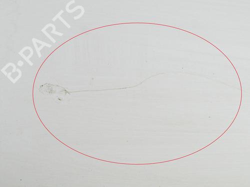 Left front door CITROËN C1 (PM_, PN_) 1.0 | BP13319875C2 