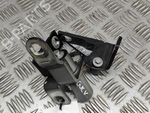 Hinge/Door check strap FORD S-MAX (WA6) 2.0 TDCi | BP27331196C146 