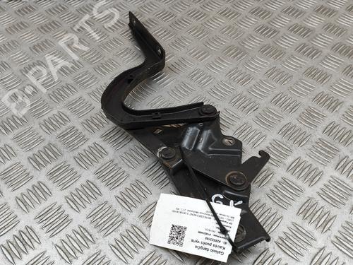 Hinge/Door check strap MERCEDES-BENZ S-CLASS Saloon (W108, W109) 280 S (108.016) | BP23865533C146 