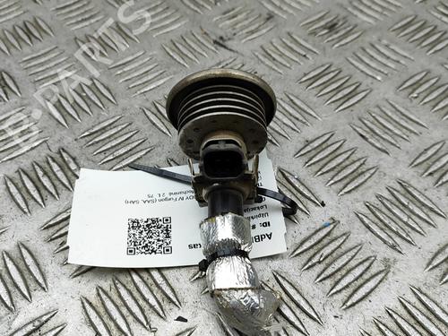 Injector VW CADDY IV Box Body/MPV (SAA, SAH) 2.0 TDI | BP31021363M100