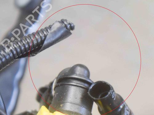 Support LAND ROVER RANGE ROVER VELAR (L560) 2.0 D240 SD4 4x4 | BP14625962C155 