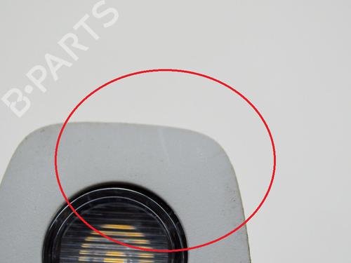 Interior roof light TESLA MODEL Y (5YJY) EV Performance All-wheel Drive | BP27752603I8 