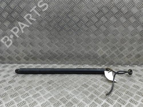 BP32170681C138 main image