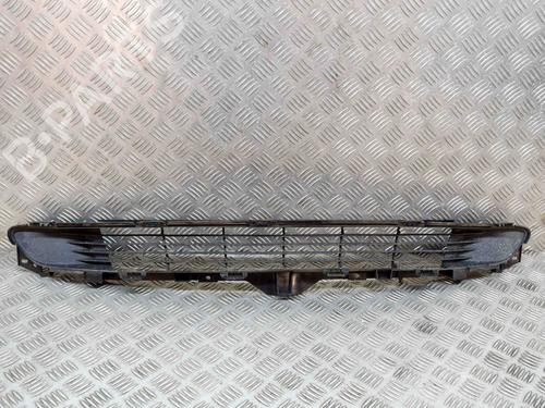Grille TESLA MODEL 3 (5YJ3) EV | BP29485957C40 