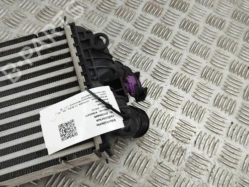 Intercooler CITROËN C4 III (BA_, BB_, BC_) 1.2 PureTech 130 (BAHNSA, BAHNSB) | BP28557099M30