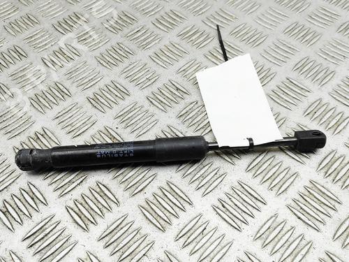 hood-lift-support-tesla-model-y-5yjy-2019-33394413 main image