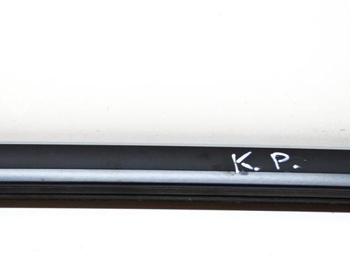 Door moulding trim TESLA MODEL S (5YJS) P100D AWD | BP14628483C150 
