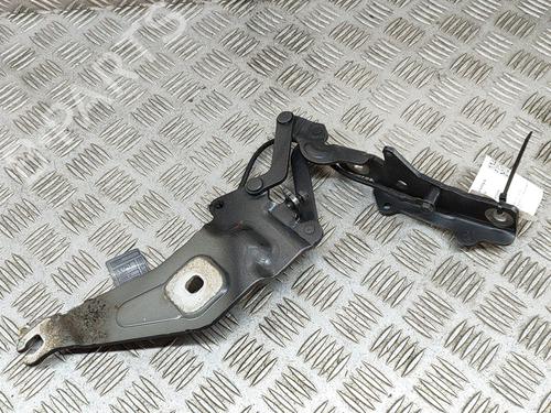 Hinge/Door check strap BMW X5 (E70) xDrive 40 d | BP19280958C146 