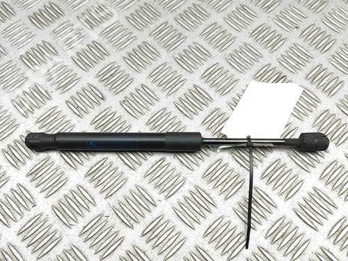 Hood lift support BMW X3 (F25) xDrive 20 d | BP29392427C139 