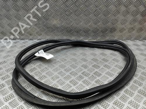 Gummiliste VW GOLF VIII (CD1, DA1) 2.0 TSI R 4motion | BP30005106C142