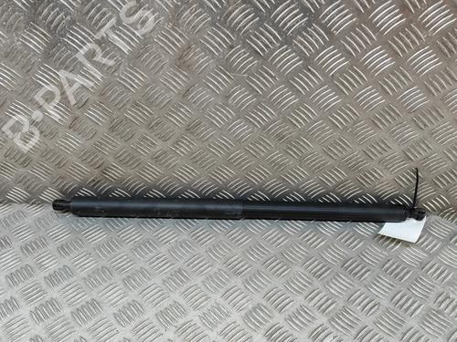 Tailgate lift support TESLA MODEL Y (5YJY) EV Performance All-wheel Drive | BP31314661C138