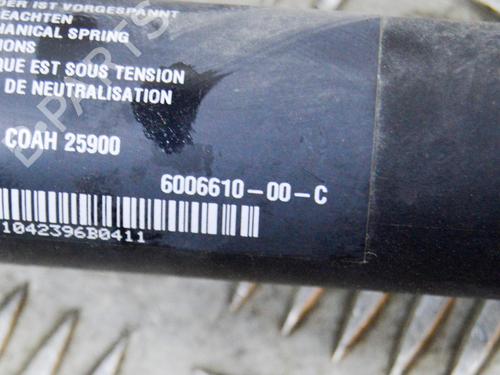 Tailgate lift support TESLA MODEL S (5YJS) 85 | BP14646872C138 