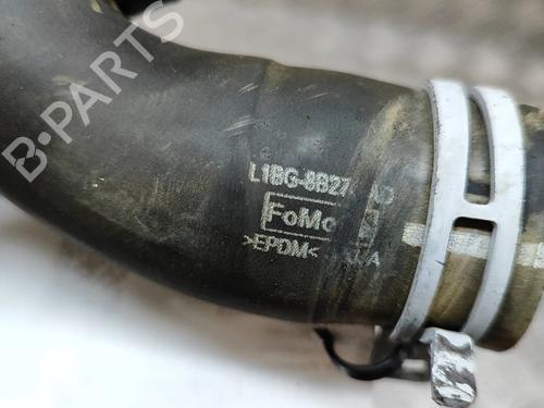Pipe FORD PUMA (J2K, CF7) 1.0 EcoBoost mHEV | BP27787031M125  - Image 6