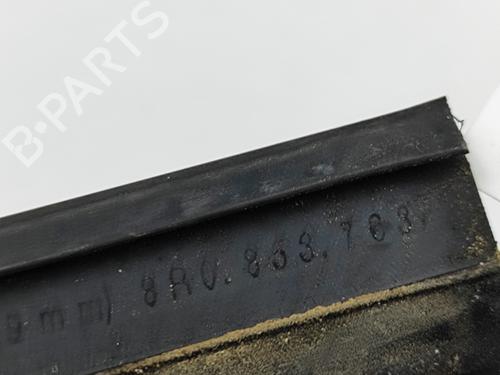 Door moulding trim AUDI Q5 (8RB) SQ5 TDI quattro | BP28674979C150 