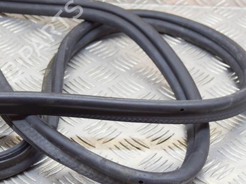 Rubber door seal BMW 7 (F01, F02, F03, F04) 740 d | BP14619595C142 