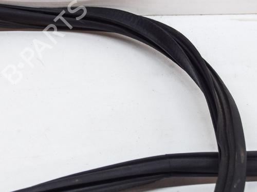 Rubber door seal AUDI Q5 (FYB, FYG) 2.0 TFSI quattro | BP14616585C142 