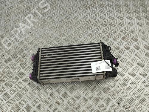 Intercooler CITROËN C4 III (BA_, BB_, BC_) 1.2 PureTech 130 (BAHNSA, BAHNSB) | BP28557099M30