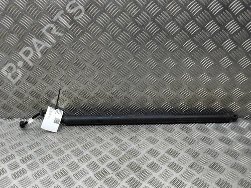 Gasdæmper bagklap Gasdæmper bagklap CUPRA FORMENTOR (KM7, KMP) 2.0 TSI 4Drive (310 hp) 33380780 33380780