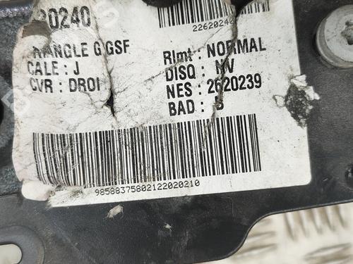 Left rear steering knuckle CITROËN JUMPY III Van (V_) 1.5 BlueHDi 120 | BP28438160M27
