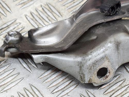 Hinge/Door check strap VOLVO V70 III (135) D3 / D4 | BP14634167C146 