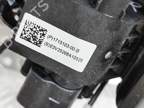 Cable TESLA MODEL 3 (5YJ3) EV | BP40014551E12 - Image 11