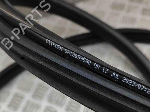 Rubber door seal CITROËN C3 III (SX) 1.2 THP 110 (SXHNPS, SXHNZT, SXHNZ6) | BP29459148C142 
