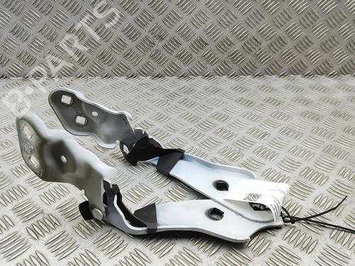 Hinge/Door check strap TESLA MODEL 3 (5YJ3) EV | BP36186550C146 - Image 2