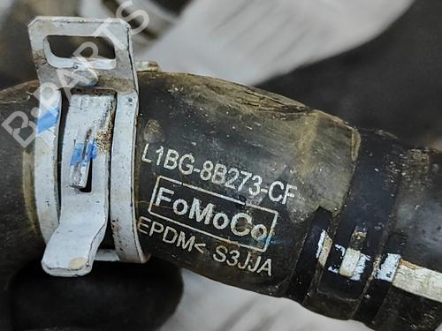 Pipe FORD PUMA (J2K, CF7) 1.0 EcoBoost mHEV | BP27787030M125 - Image 6