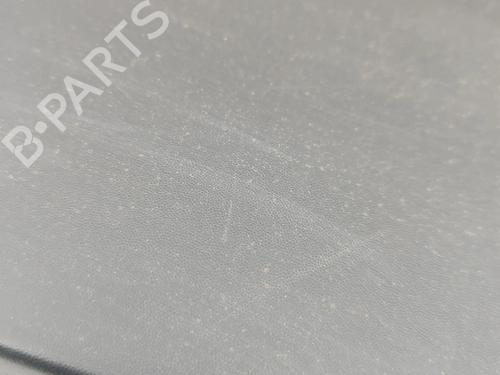 Door moulding trim OPEL VIVARO B Bus (X82) 1.6 CDTI (06) | BP32061284C150 