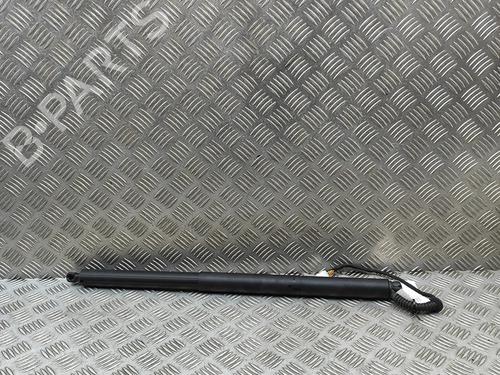 Amortecedor da mala TESLA MODEL Y (5YJY) Long Range All-wheel Drive (514 hp) 30856811