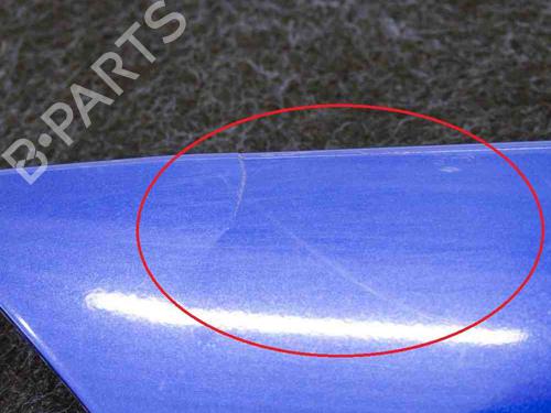 Licence plate light NISSAN QASHQAI II (J11, J11_) 1.2 DIG-T | BP14662573I40 