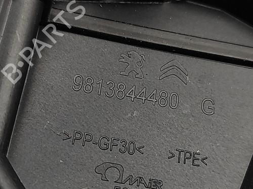 Tailgate trim PEUGEOT 3008 II SUV (MC_, MR_, MJ_, M4_) Hybrid 180 (M4DGLU) | BP30178434C151 