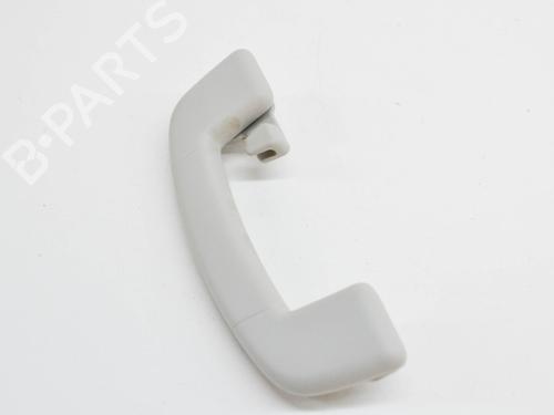 Interior roof handle SKODA KAROQ (NU7, ND7) 1.0 TSI | BP14643563I35 