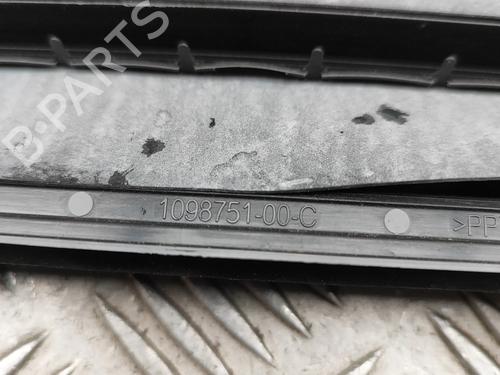 Grill TESLA MODEL 3 (5YJ3) EV | BP33388480C40 - Image 6