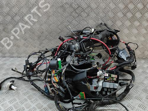 Wiring harness LAND ROVER RANGE ROVER EVOQUE (L538) 2.2 D 4x4 | BP22443894E16 