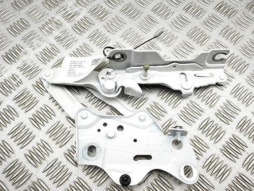 Used Hinge/Door check strap Hinge/Door check strap BMW X6 (G06, F96) xDrive 40 i (340 hp) 36415061 36415061