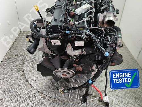 Used Engine Engine FORD RANGER (TKE) 2.2 TDCi (131 hp) 36390931 36390931