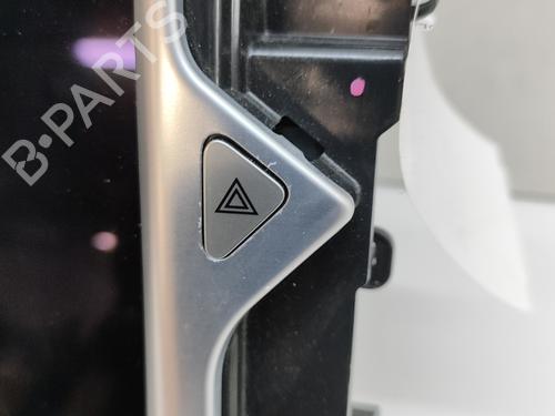 Display TESLA MODEL S (5YJS) P100D AWD | BP28497946C48 