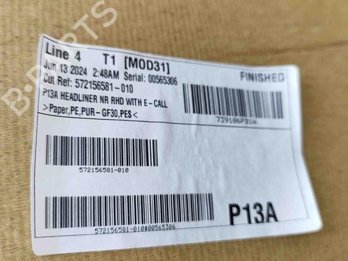 Interior roof NISSAN JUKE (F16_) DIG-T 117 | BP27792690I12 