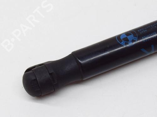 Hood lift support BMW 7 (F01, F02, F03, F04) 740 d | BP14619510C139 