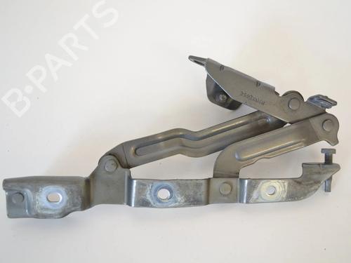 hingedoor-check-strap-chrysler-300c-lx-le-2004-33366410 main image