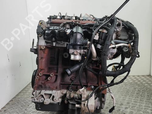 Engine FORD TRANSIT CUSTOM V362 Bus (F3) 2.2 TDCi | BP37029298M1 - Image 2