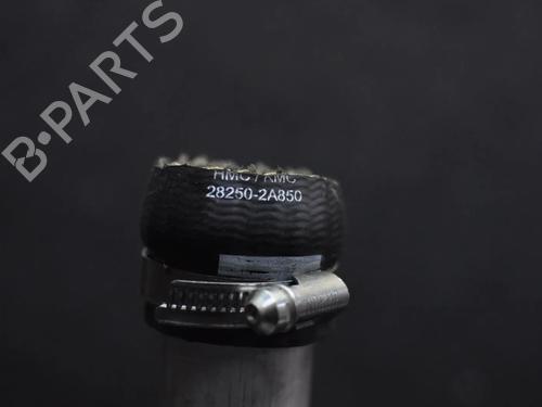 Pipe KIA SPORTAGE III (SL) 1.7 CRDi | BP36043615M125 - Image 4