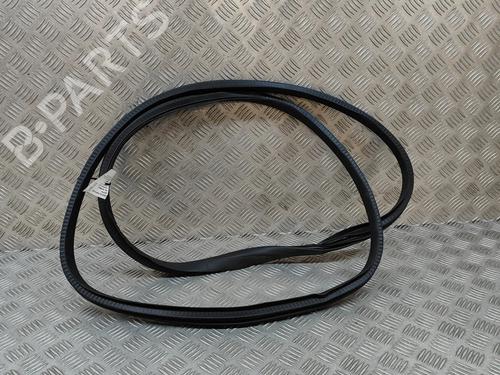 Used Rubber door seal RENAULT AUSTRAL E-TECH 200 Hybrid (HGM2) (199 hp) 29007687