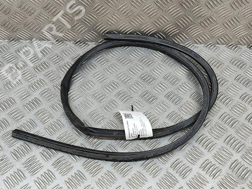 Rubber door seal BMW iX (I20) xDrive 50 | BP29391368C142 