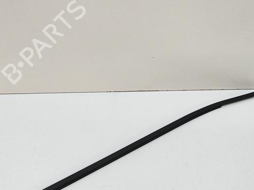 Door moulding trim MERCEDES-BENZ B-CLASS Sports Tourer (W245) B 180 CDI (245.207) | BP29023762C150 