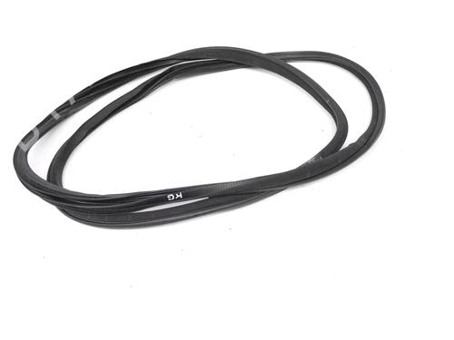 rubber-door-seal-infiniti-q50-2013-33354537 main image