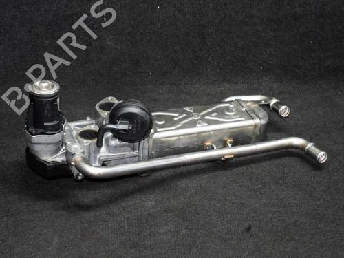 EGR Ventil SEAT IBIZA IV (6J5, 6P1) 1.6 TDI (105 hp) 6727190